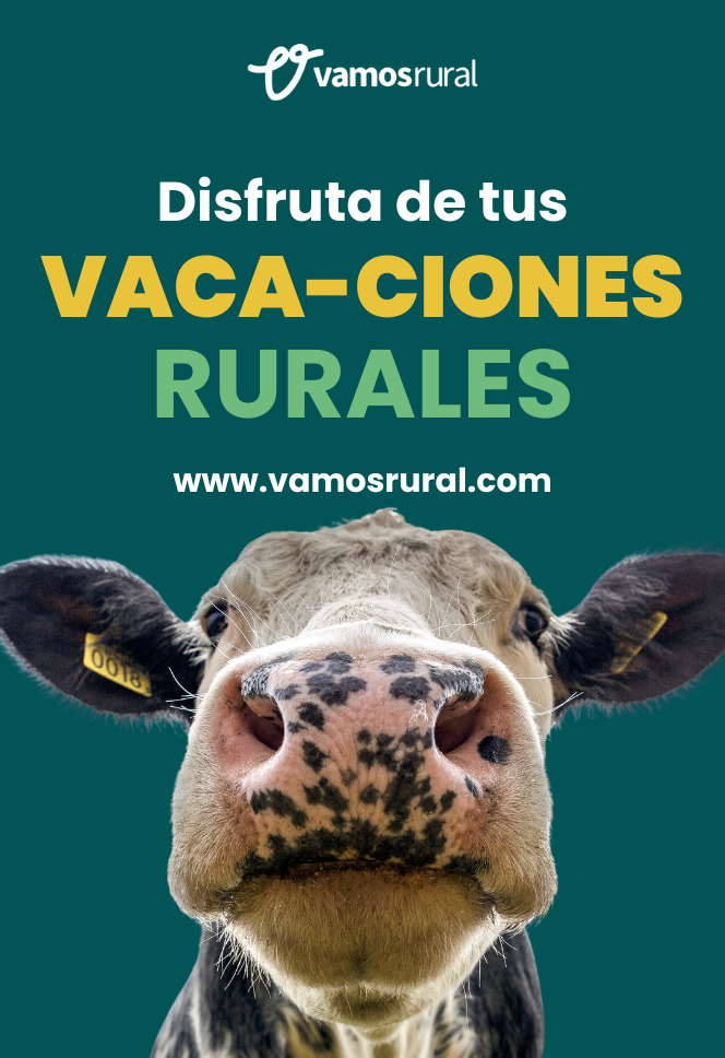 VR Vaca ciones